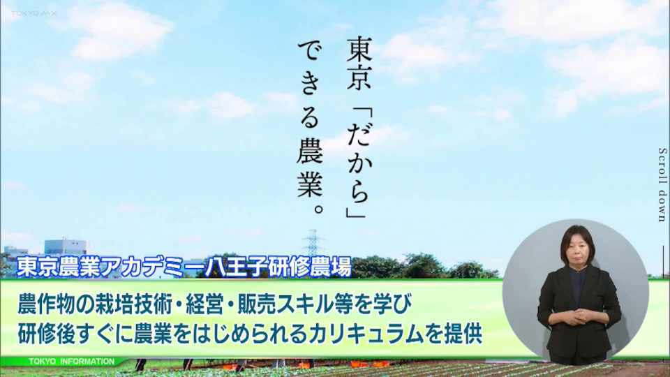 暮らしに役立つ情報をお伝えするTOKYO MX（地上波9ch）の情報番組「東京インフォメーション」（毎週月―金曜、朝7:15～）。
今回は農業の実践的なカリキュラムを提供する施設「東京農業アカデミー八王子研修農場」の研修生募集や、「2024年問題」対策に取り組む中小企業を対象とした設備投資の緊急支援を紹介しました。