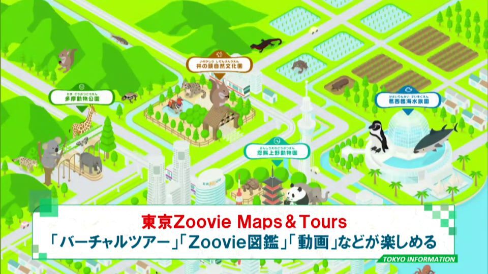 暮らしに役立つ情報をお伝えするTOKYO MX（地上波9ch）の情報番組「東京インフォメーション」（毎週月―金曜、朝7:15～）。
今回は高画質のVR映像による動物園・水族園のバーチャルツアーができるウェブコンテンツ「東京Zoovie Maps＆Tours」についてや、女優の浜辺美波さんがイメージキャラクターとして出演している東京都議会議員選挙の啓発動画を紹介しました。
