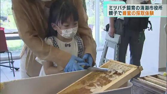 東京・清瀬市役所でミツバチ飼育中！　親子で蜂蜜の採取体験