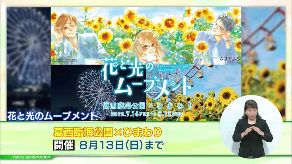 約3万本のひまわりが咲き誇る葛西臨海公園「花と光のムーブメント 「海とひまわり」をテーマとしたライトアップも