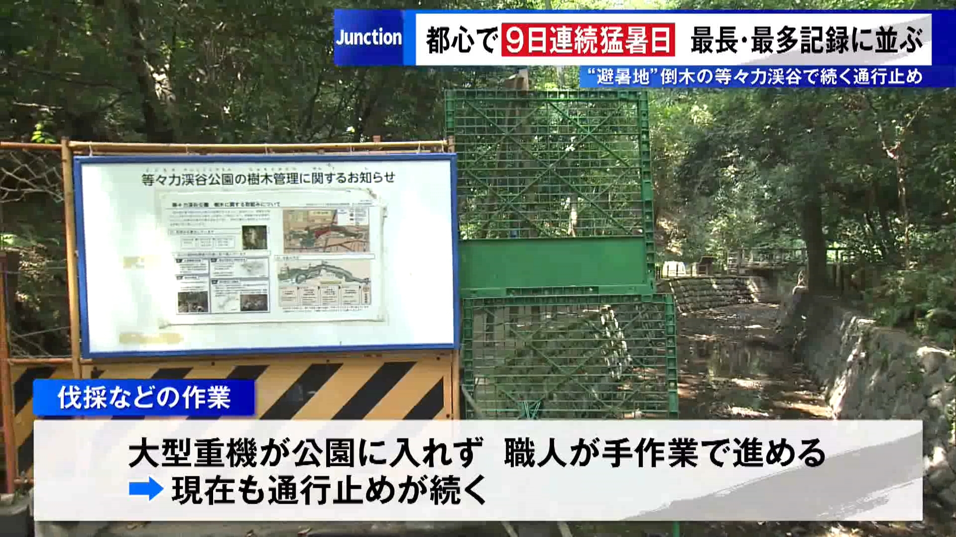 東京都内は8月26日も高気圧に覆われて朝から気温が上がり、都心は9日連続の猛暑日になりました。これで2022年7月に記録した猛暑日の最長記録に並びました。また、年間の猛暑日の日数も22日となり、2023年の最多記録にも並びました。