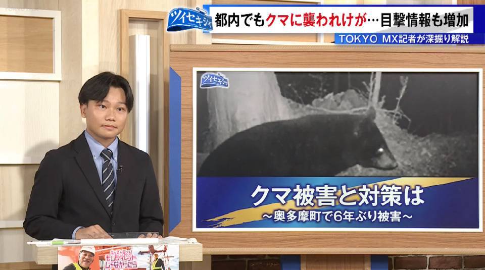 都内での目撃情報は例年以上！ 奥多摩町では6年ぶりの人的被害も…クマ被害の現状と各自治体の対策まとめ