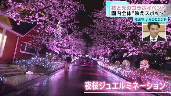 稲城市にある遊園地・よみうりランドは今、桜が見頃を迎えています。園内は“写真映え間違いなし”のスポットがめじろ押しです。動画でお楽しみください。