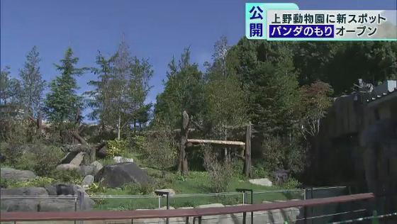 上野動物園 新施設 パンダのもり 一般公開始まる Tokyo Mx プラス