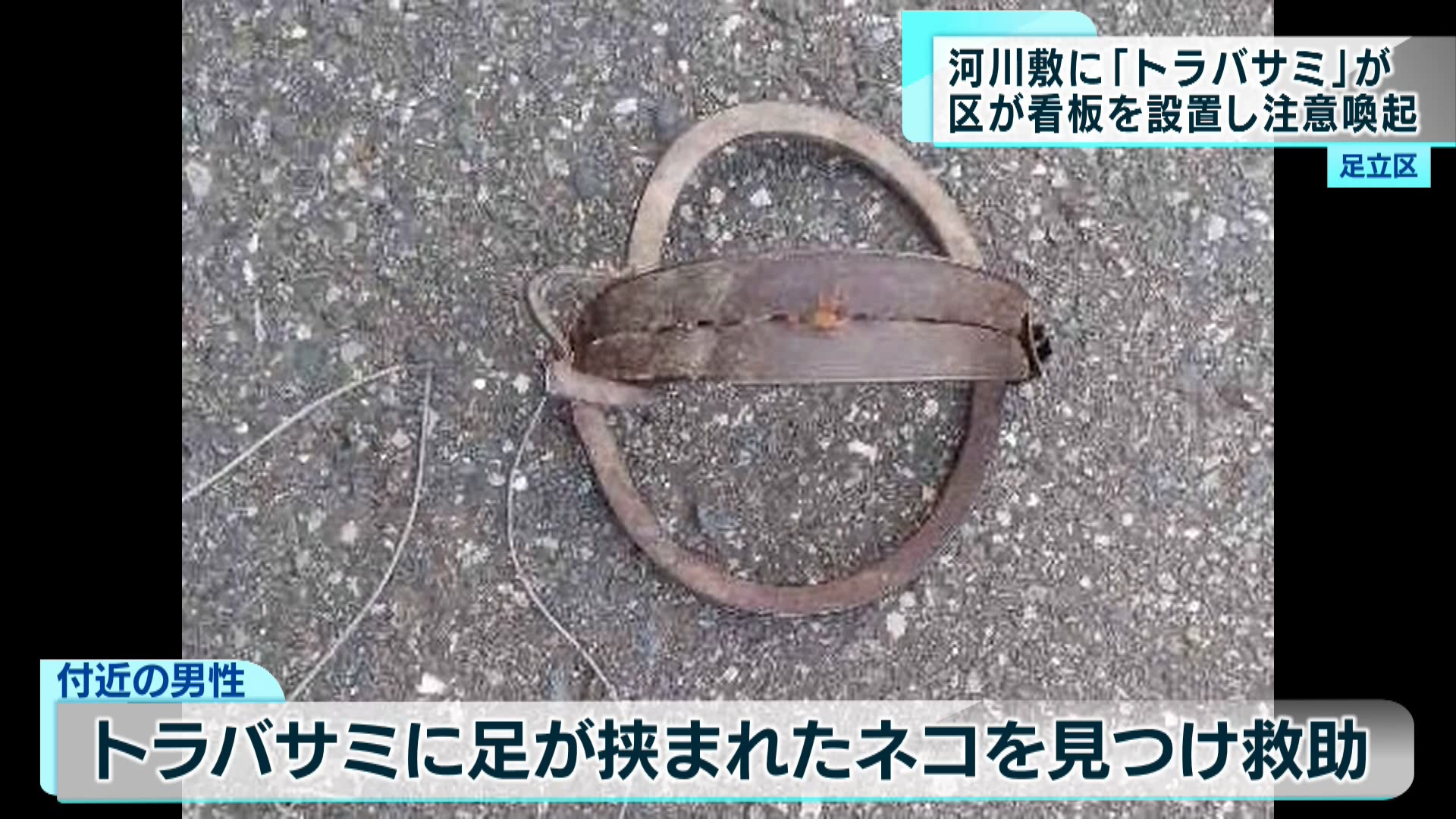 足立区を流れる荒川の河川敷に、法律で使用が原則禁止されている狩猟に使う罠の一つ、「トラバサミ」のようなものが発見され、区は近隣住民に注意を呼び掛けています。