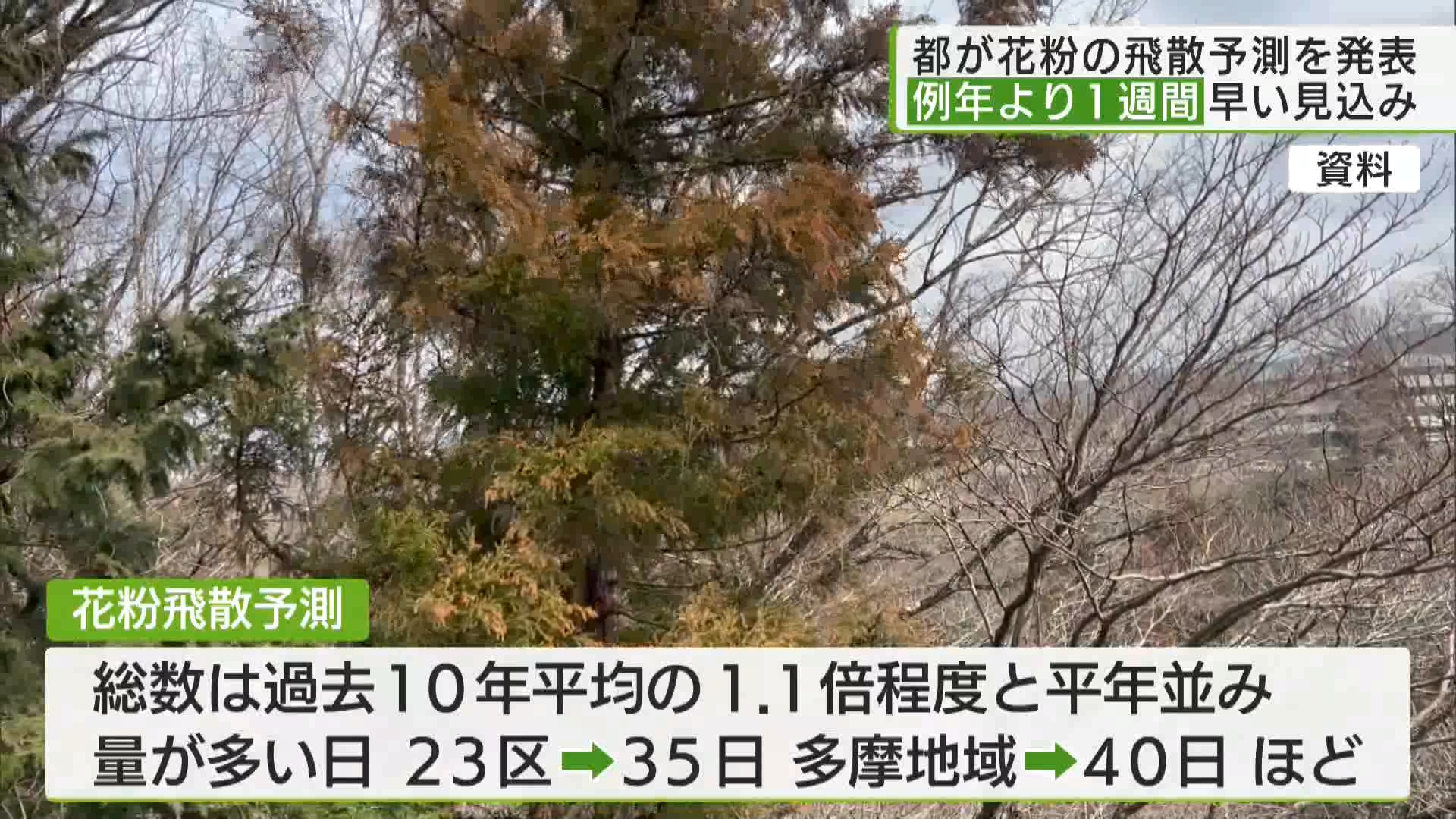 東京都がスギやヒノキなどの花粉の飛散予測を発表しました。今年の花粉は例年より飛び始める時期が、一週間程度早まると見られています。
