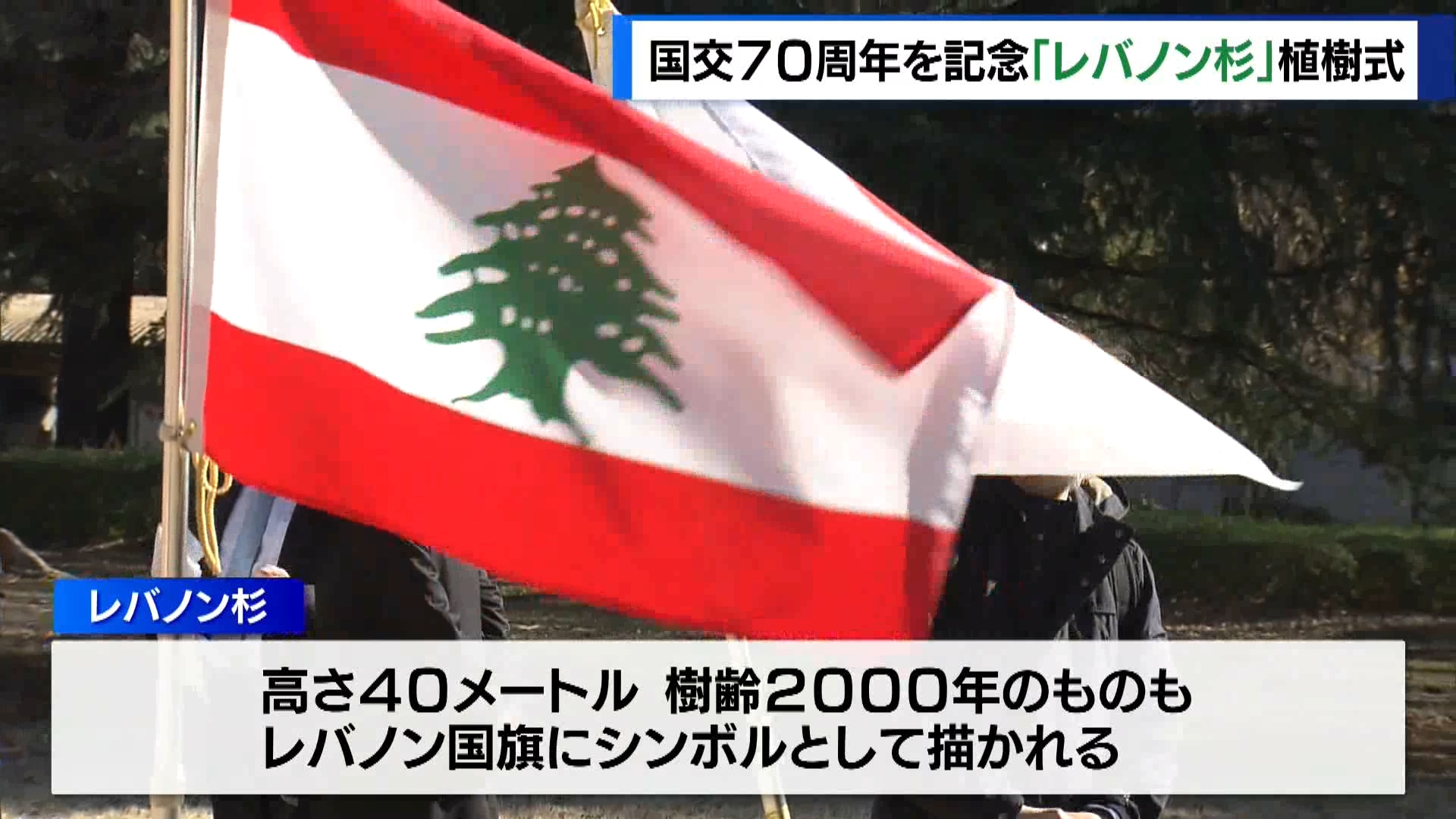 今年=2024年に日本とレバノンが国交樹立から70年となったことを記念して、東京・世田谷区でレバノン杉の植樹式が行われました。