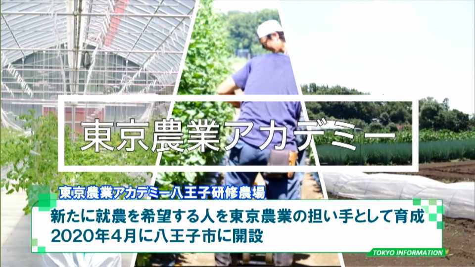 暮らしに役立つ情報をお伝えするTOKYO MX（地上波9ch）の情報番組「東京インフォメーション」（毎週月―金曜、朝7:15～）。
今回は新たに農業の仕事に就きたい人を東京農業の担い手として育成するためにに開設された「東京農業アカデミー八王子研修農場」の第3期研修生募集についてや、スタートアップ企業の地域・業界・業種にとらわれない連携関係の創出を目指す「NEXs Tokyo」プロジェクトを紹介しました。