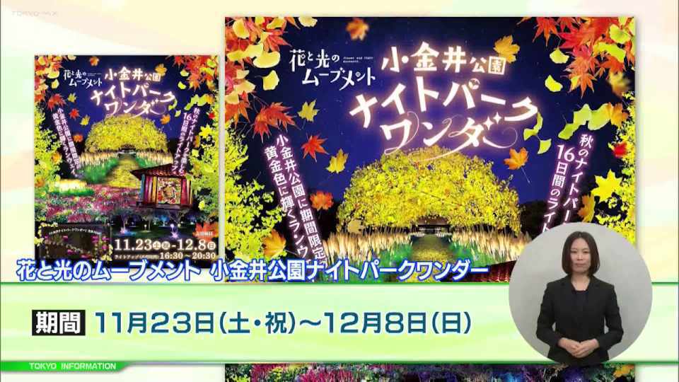 暮らしに役立つ情報をお伝えするTOKYO MX(地上波9ch)の情報番組「東京インフォメーション」(毎週月―金曜、朝7:15~)。
今回は都立小金井公で開催されている「花と光のムーブメント 小金井公園ナイトパークワンダー」や、、2025年に開催されるデフリンピックを盛り上げる文化プログラムの出演者募集を紹介しました。