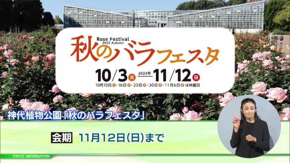 暮らしに役立つ情報をお伝えするTOKYO MX(地上波9ch)の情報番組「東京インフォメーション」(毎週月―金曜、朝7:15~)。
今回は11月半ばまで開催される神代植物公園の「秋のバラフェスタ」や、紅葉を楽しみながら奥多摩湖とその周辺の水道水源林を散策できる「水源林ツアー」参加者募集を紹介しました。
