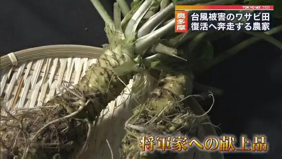 　東京都内にも大きな被害をもたらした台風19号の襲来から3カ月が過ぎました。奥多摩町では台風で沢沿いのワサビ田が流出してしまい、農家は大きな打撃を受けました。被害を受けた奥多摩のワサビ復活に向け、懸命に取り組みを続けている農家を取材しました。