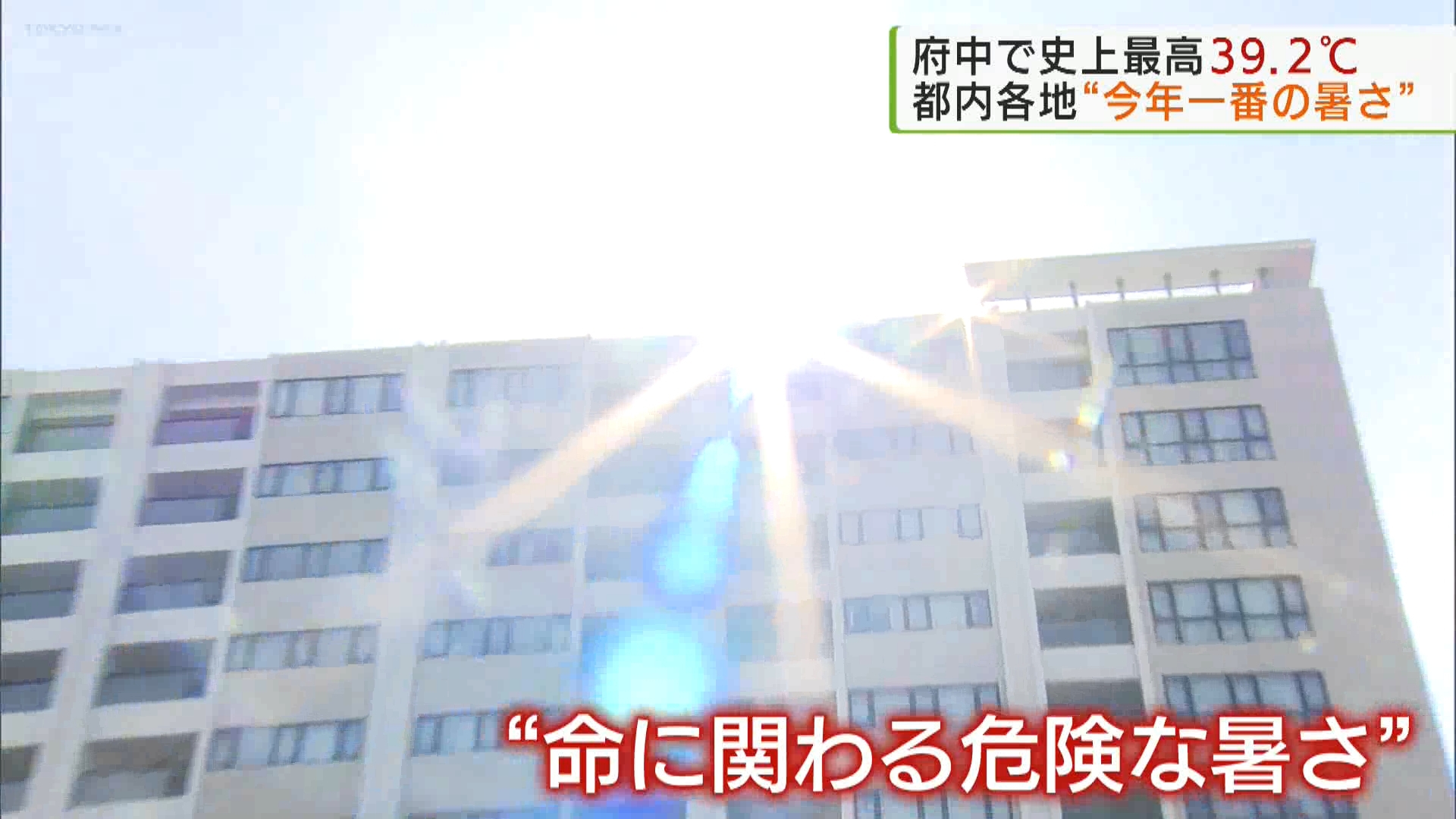 東京・府中市で観測史上最高の39.2℃　都内各地で今年一番の暑さ