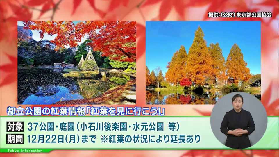 画像が削除されました