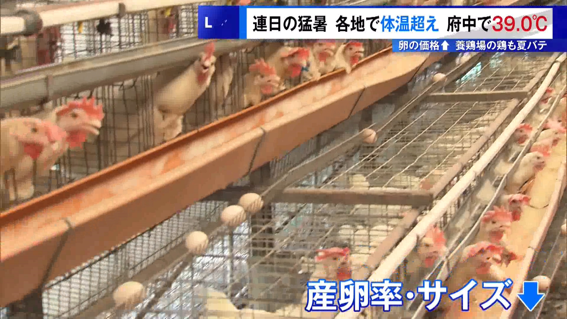 お盆休みが明けても東京都内の暑さは収まらず、8月18日の都内は厳しい残暑となりました。