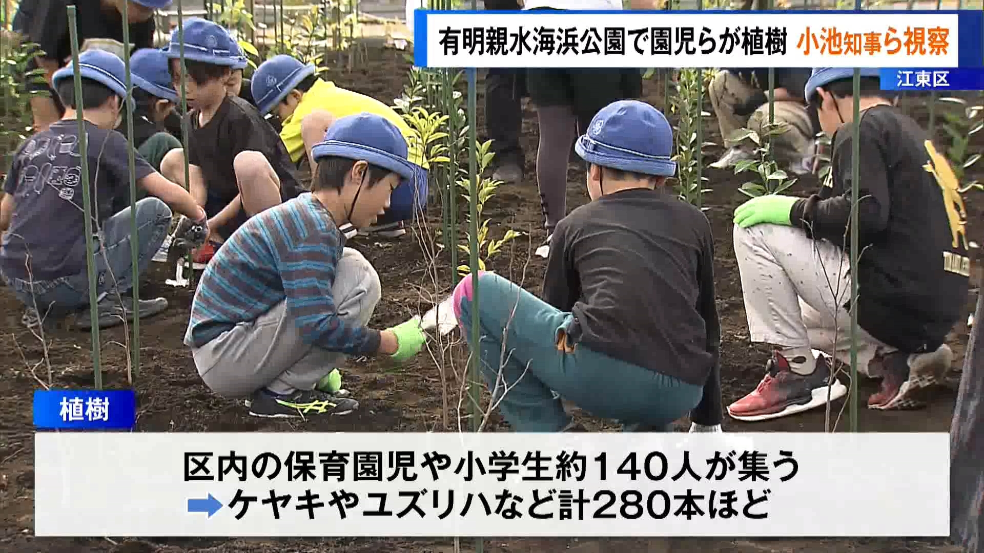 東京・江東区の公園で11月12日、区内の保育園児らによる植樹が行われ、江東区長と東京都の小池知事が視察しました。この活動は東京都が行うもので、子どもたちに自然への関心を高めてほしいとしています。