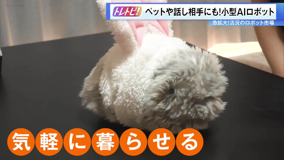 ペットに代わる話し相手や癒し効果も期待…いま注目の「小型AIロボット」