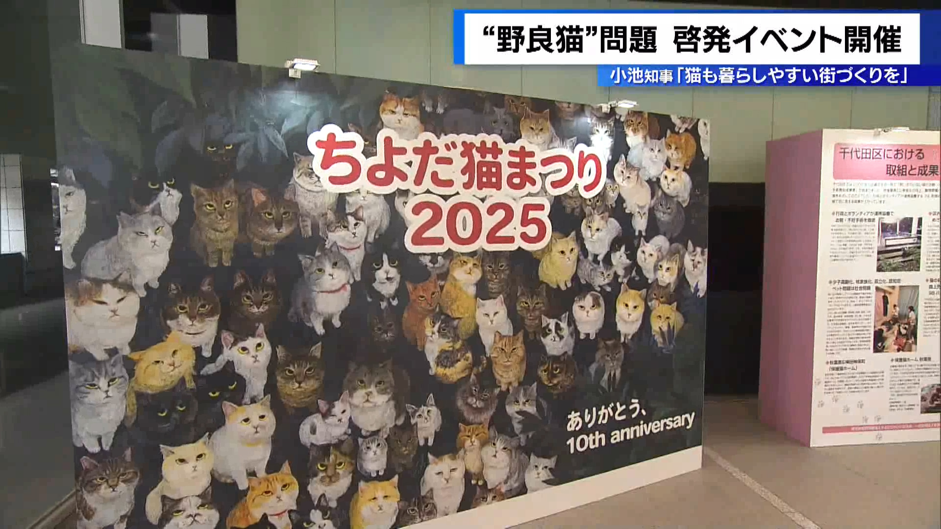 野良猫 問題を啓発「ちよだ猫まつり」