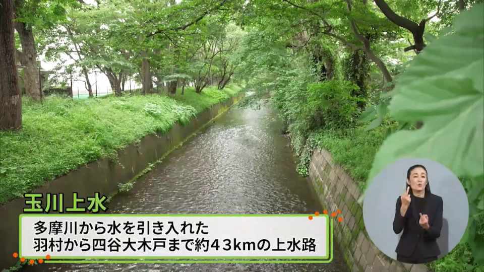 暮らしに役立つ情報をお伝えするTOKYO MX（地上波9ch）の情報番組「東京インフォメーション」（毎週月―金曜、朝7:15～）。
今回は豊かな自然と魅力的なスポットがあふれる多摩エリアを紹介する特別企画「たまにはプラっと！」で緑に囲まれた玉川上水や、こどもシンポジウム「TEENS SQUARE」を紹介しました。