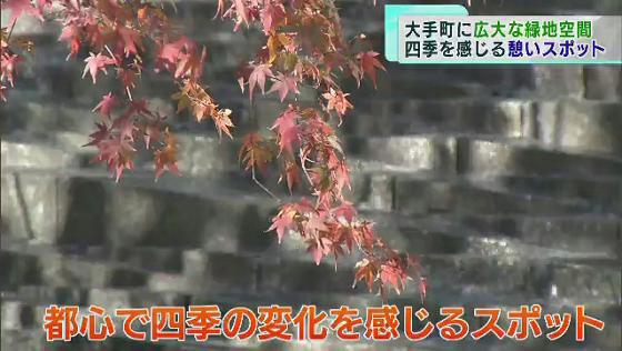 東京都心のオフィス街・千代田区大手町に巨大な緑の広場が誕生しました。多くの人に癒やしを届けた“大手町名物”も復活するかもしれません。