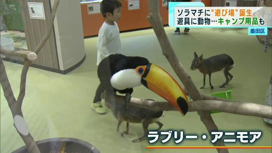 東京ソラマチに“遊びのフロア”が誕生　遊具・動物・キャンプ用品も