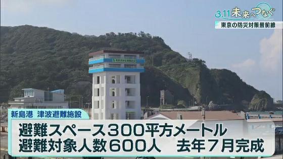 東日本大震災の発生から10年がたちました。東京を近い将来襲うといわれている首都直下地震や、都内の島しょ部にも甚大な被害をもたらすと予想されている南海トラフ地震などに対する「都市防災」について、東京の防災対策の“今”を取材しました。
