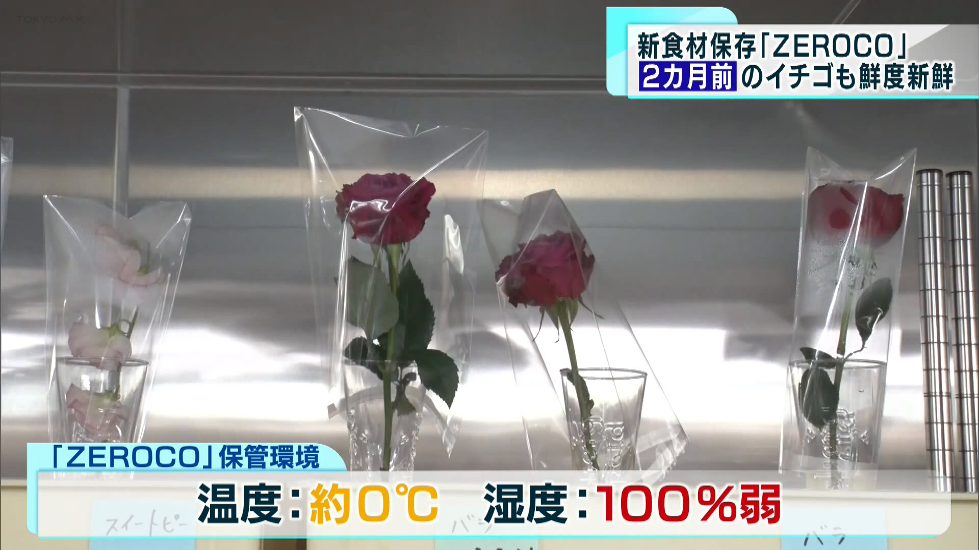 食材や食品の保存方法として、冷蔵・冷凍に次ぐ新しい保存方法が4月12日に発表されました。それが「ZEROCO（ゼロコ）」と呼ばれるもので、これまでの常識を覆す革新的な技術となっています。
