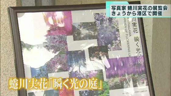 蜷川実花 展覧会「瞬く光の庭」開催