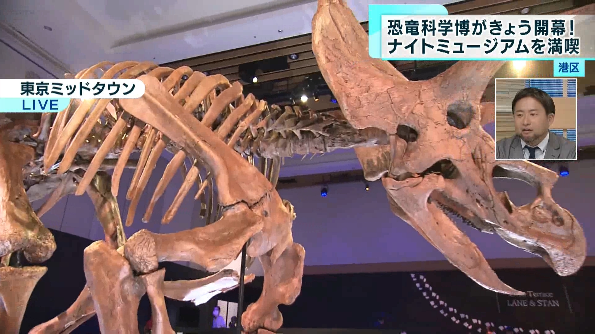大迫力の恐竜たちが出迎えてくれる「恐竜科学博」が7月21日から始まりました。夜は9時まで楽しめるということですが、恐竜に囲まれたナイトミュージアム、どのような雰囲気でしょうか？木村キャスターがレポートします。
