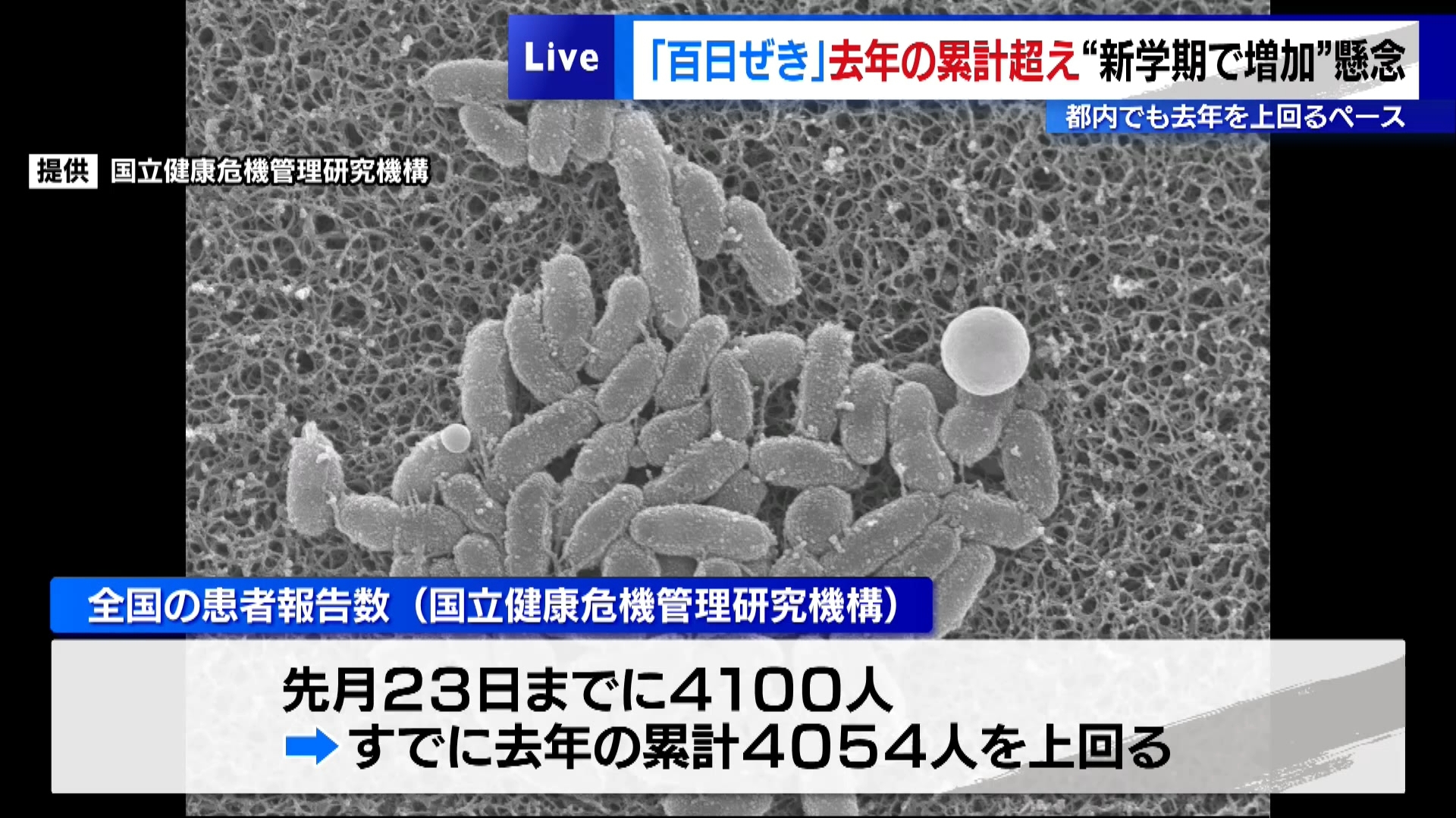 激しいせきなどの症状が3カ月程度続くこともある「百日ぜき」の感染が広がっています。