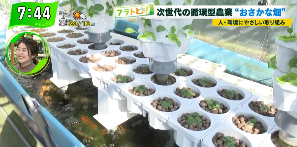 TOKYO MX（地上波9ch）朝の報道・情報生番組「堀潤モーニングFLAG」（毎週月～金曜7:00～）。「フラトピ！」のコーナーでは、人にも環境にもやさしい“次世代農業”をキャスターの田中陽南が取材しました。