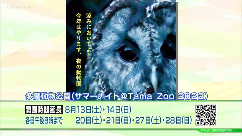 上野動物園や多摩動物公園ほか都立動物園で様々な夏のイベント開催 ウェブで楽しめる企画も！