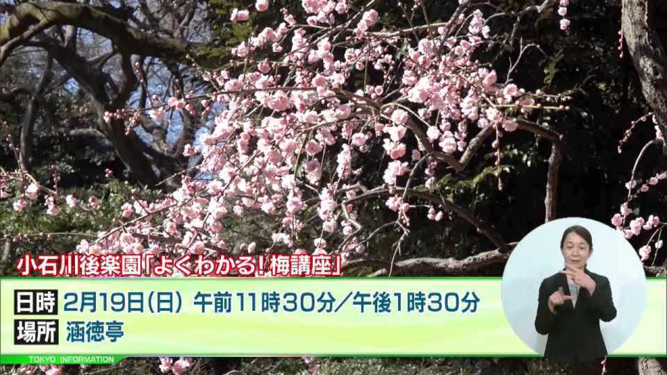 小石川後楽園で「よくわかる! 梅講座」開催 文化財指定100周年を記念した展示や伝統芸能公演なども