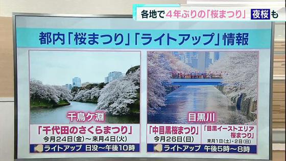 東京都内の「桜まつり」「ライトアップ」情報（3月21日放送）