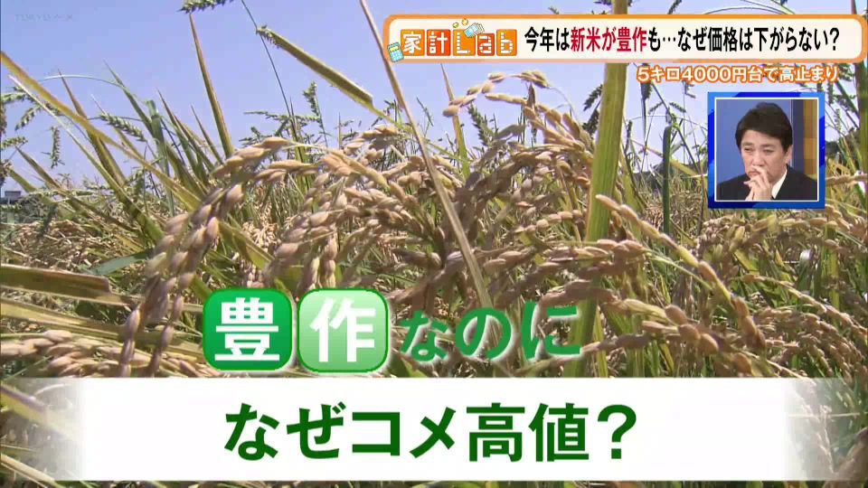 今年は豊作のはずなのに…なぜ続くお米の価格高騰、今後はどうなる？ 専門家の見解は？