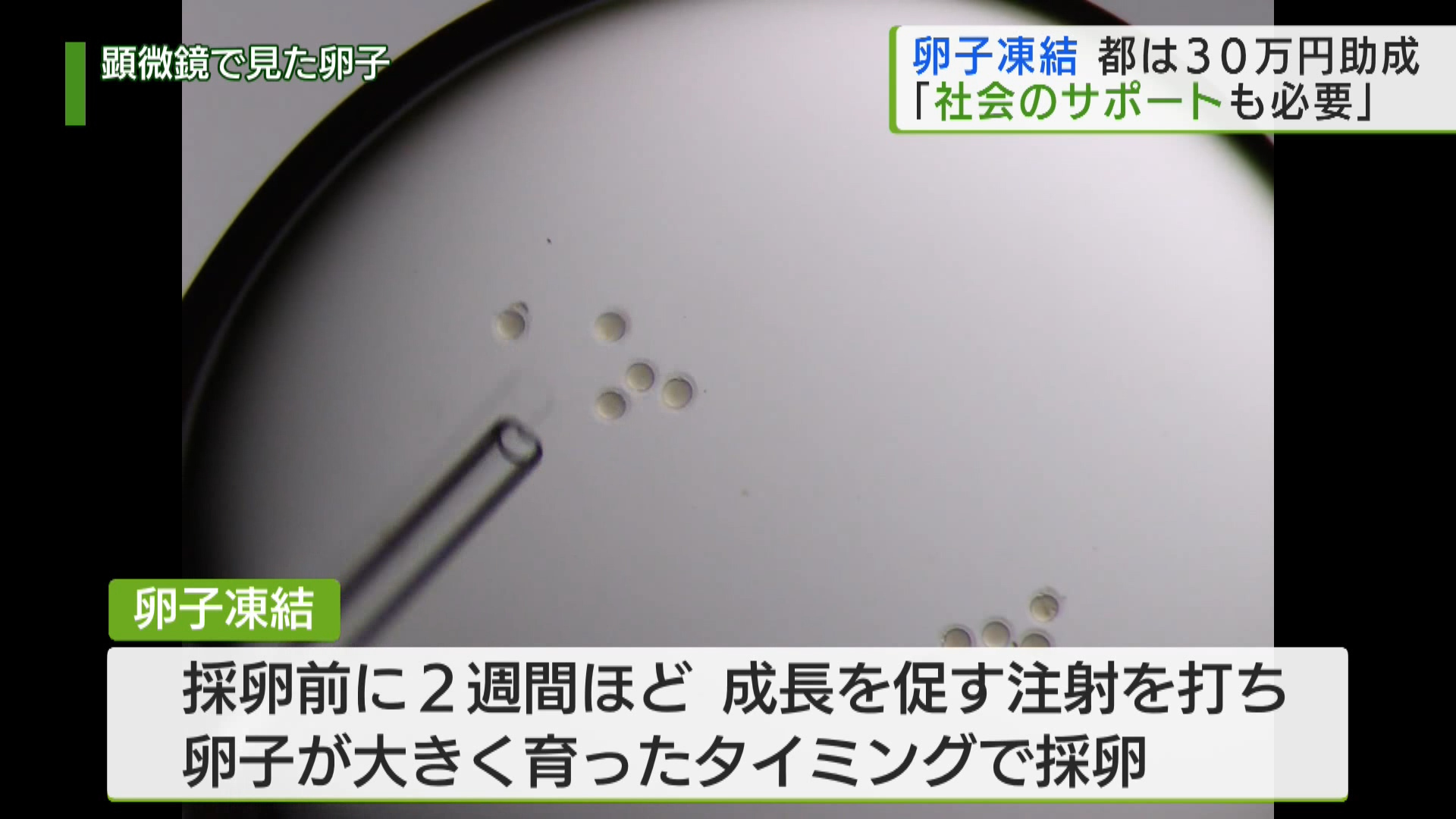 将来、妊娠や出産を望む人を対象とした卵子凍結の特集です。東京都が最大30万円の助成を進める中、支援を受ける女性は、金銭的な負担が軽減された一方で、社会のさらなる理解が必要だと話します。