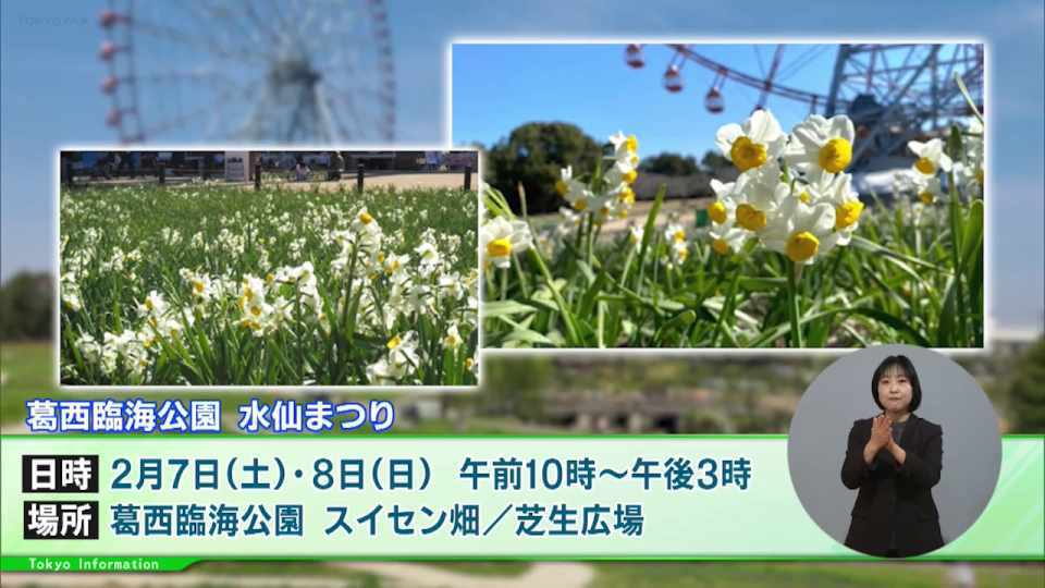 暮らしに役立つ情報をお伝えするTOKYO MX（地上波9ch）の情報番組「東京インフォメーション」（水曜・金曜 午後8時44分～）。
今回はスイセンの開花に合わせて葛西臨海公園で開催される「水仙まつり」や、都庁職員を目指す人たちを対象とした2つのイベント「都庁 Career Meeting 2026」「専門職オンライン相談会」を紹介しました。