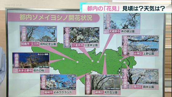 東京都内には桜の名所がたくさんあります。祝日「春分の日」を前に、現在の開花状況と見頃についてまとめました。