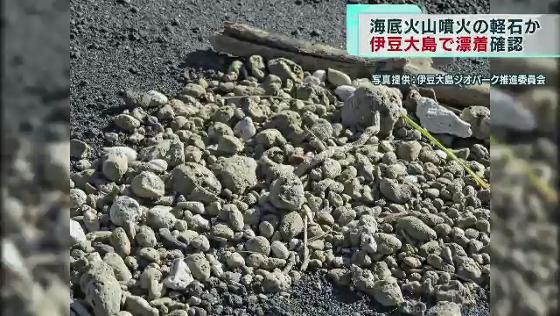 軽石が伊豆大島にも漂着　今後の影響は？