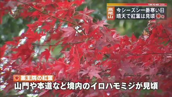 寒い…けど見頃！色づく紅葉　東京・高尾山