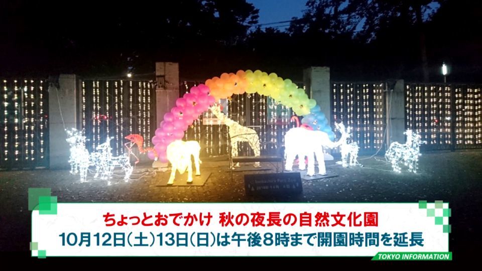 暮らしに役立つ情報をお伝えするTOKYO MX(地上波9ch)の情報番組「東京インフォメーション」(毎週月―金曜、朝7:15~)。
今回は井の頭自然文化園が週末に開園時間を3時間延長しさまざまな企画をじっじすることや、葛西臨海水族園でマグロをテーマに開催する開園30周年の記念イベントなどを紹介しました。