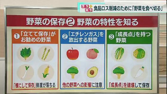 10月は「食品ロス削減月間」で、特に10月30日は「食品ロス削減の日」です。最新の日本の食品ロスの現状と、無駄なく野菜を食べ切るポイントをまとめました。動画でお楽しみください。