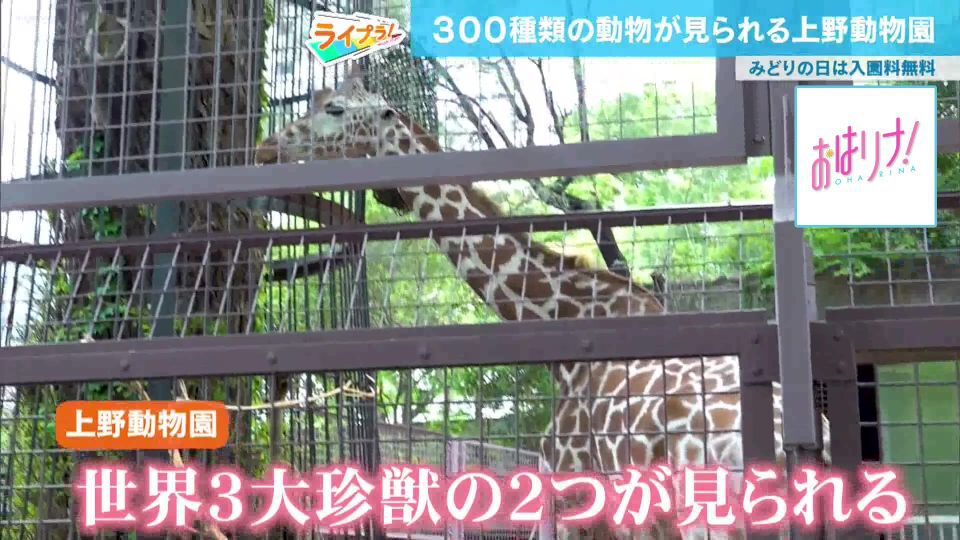近くても満足！“コスパ”で選ぶゴールデンウィークのおすすめスポット