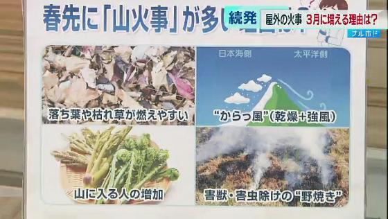 　3月1日にようやく鎮圧となった栃木県足利市の山火事をはじめ、先週は都内でも青梅市で山火事が発生しました。山火事は、平均して全国で毎日3件も発生しています。今キャンプブームで、山に行く方、外で火を使う方多いと思いますので、山火事の発生状況を見てみましょう。