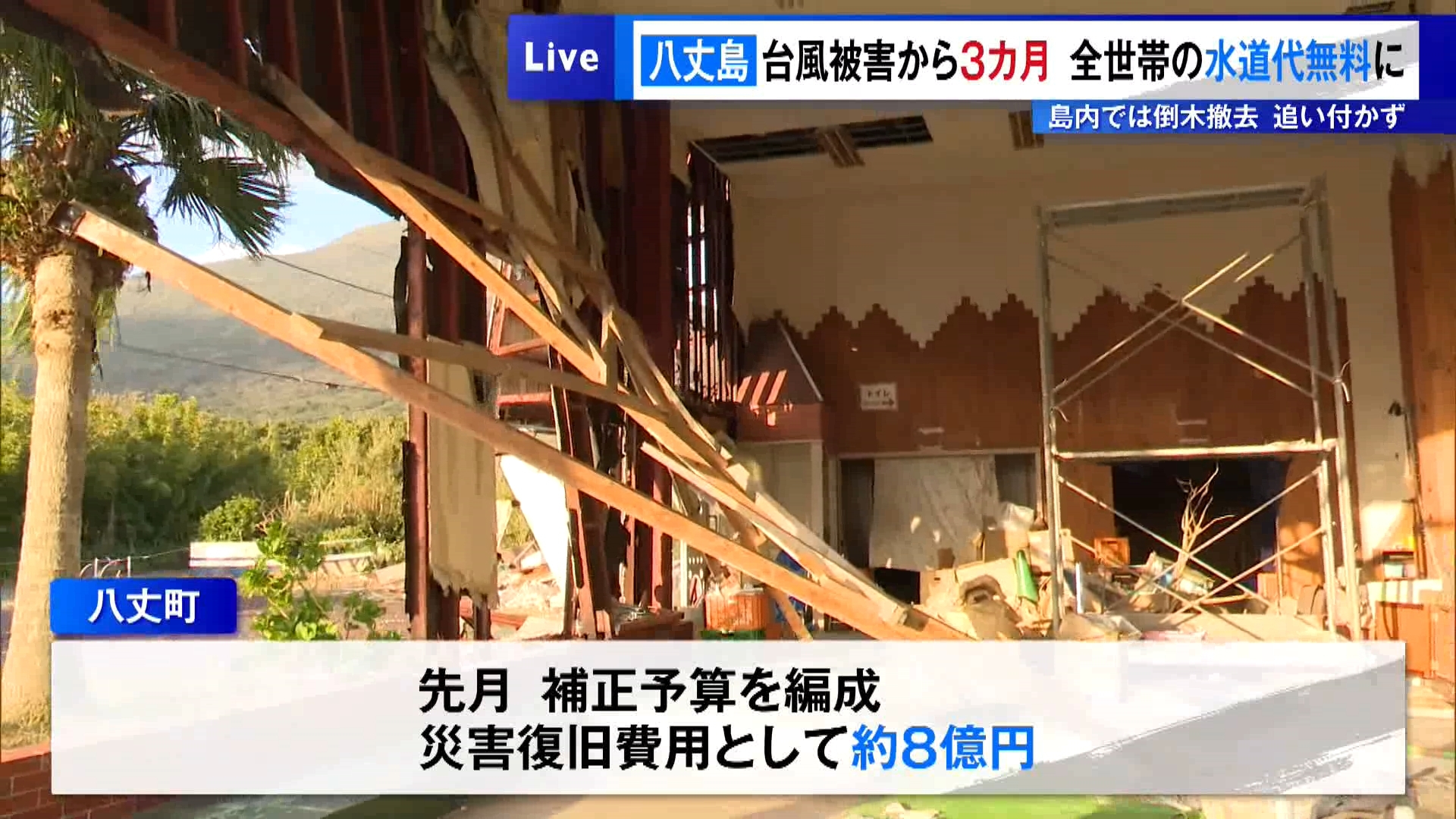 東京・伊豆諸島の八丈島は、2025年秋の台風22号・23号によって大きな被害を受けてから3カ月がたちました。復旧が続く中、新しい年を迎えています。