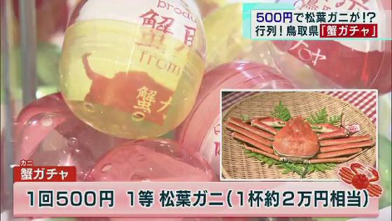 500円で松葉ガニが当たるかも…　鳥取県アンテナ店で「蟹ガチャ」