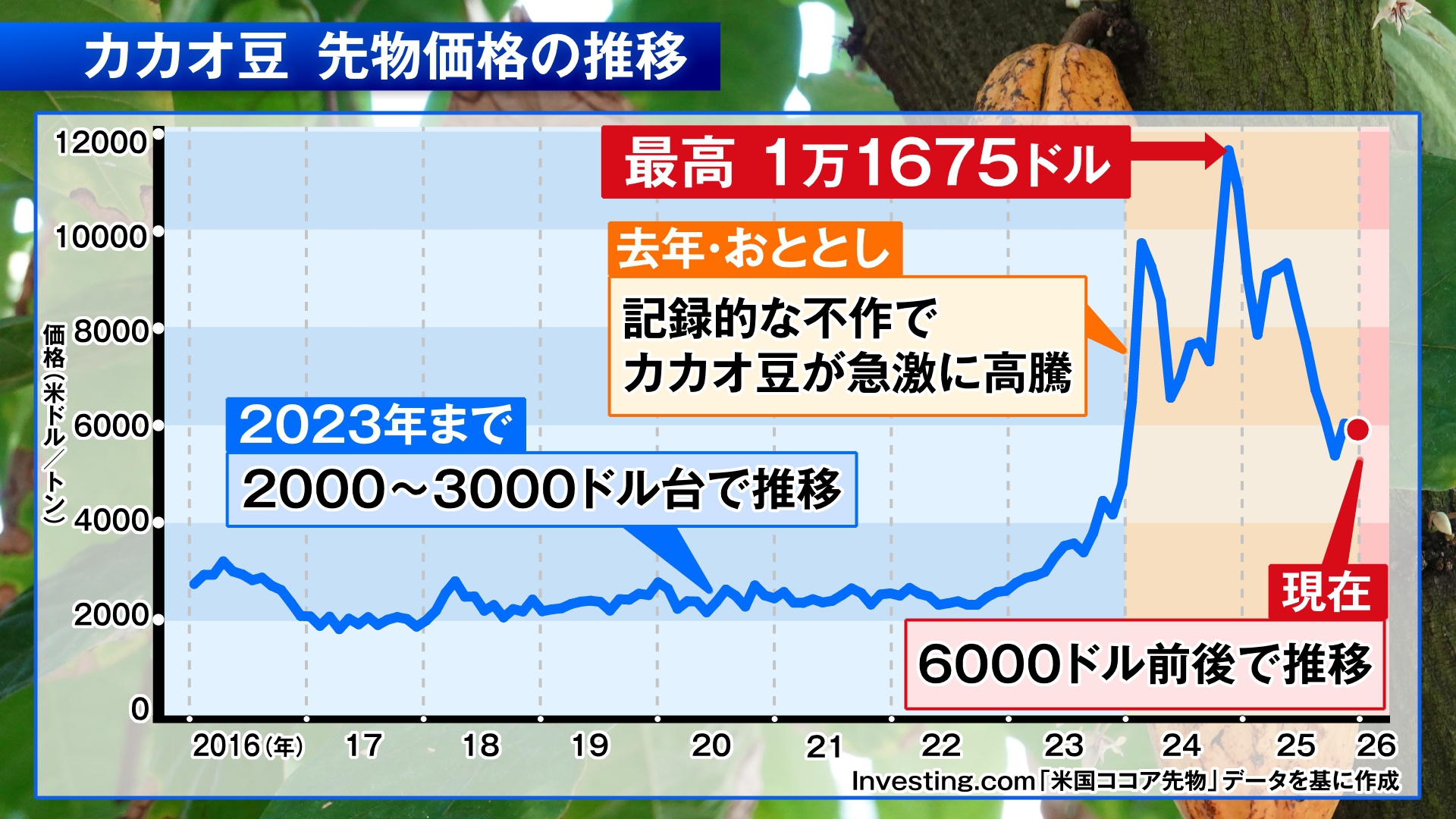 今年のバレンタイン商戦…“カカオショック”の影響は？ チョコレートの代替品も｜TOKYO MX+（プラス）