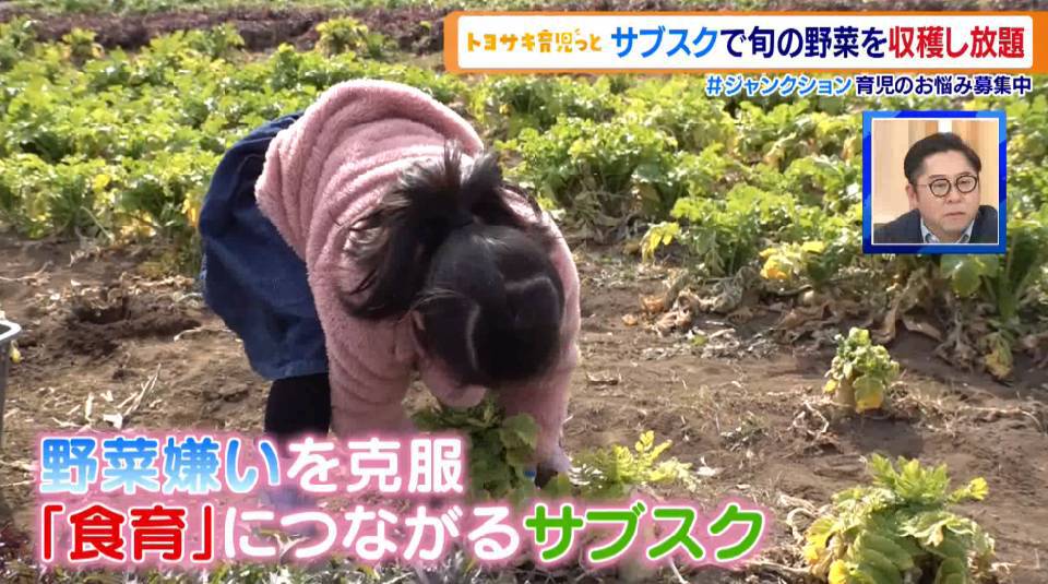 子どもが野菜を食べるきっかけに！有識者も絶賛、食育につながるサブスク「はたけビュッフェ」