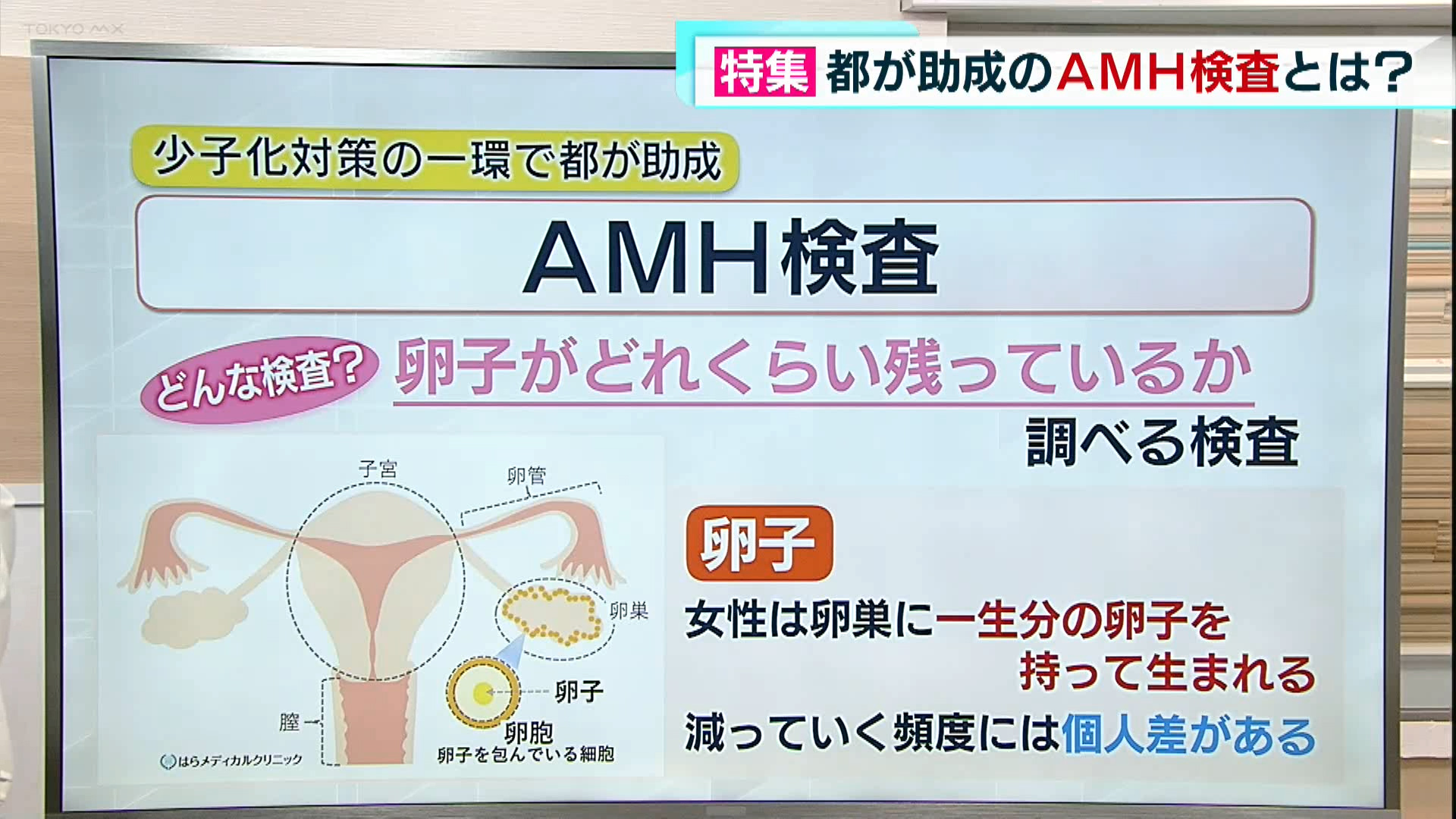 東京都が今年度から少子化対策の一環として、卵子の数を調べるAMH検査の助成に力を入れています。きょうは検査の現状と課題についてお伝えします。
