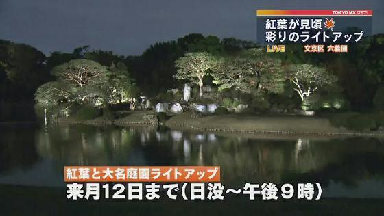 六義園で紅葉が見頃…ライトアップも　東京・文京区