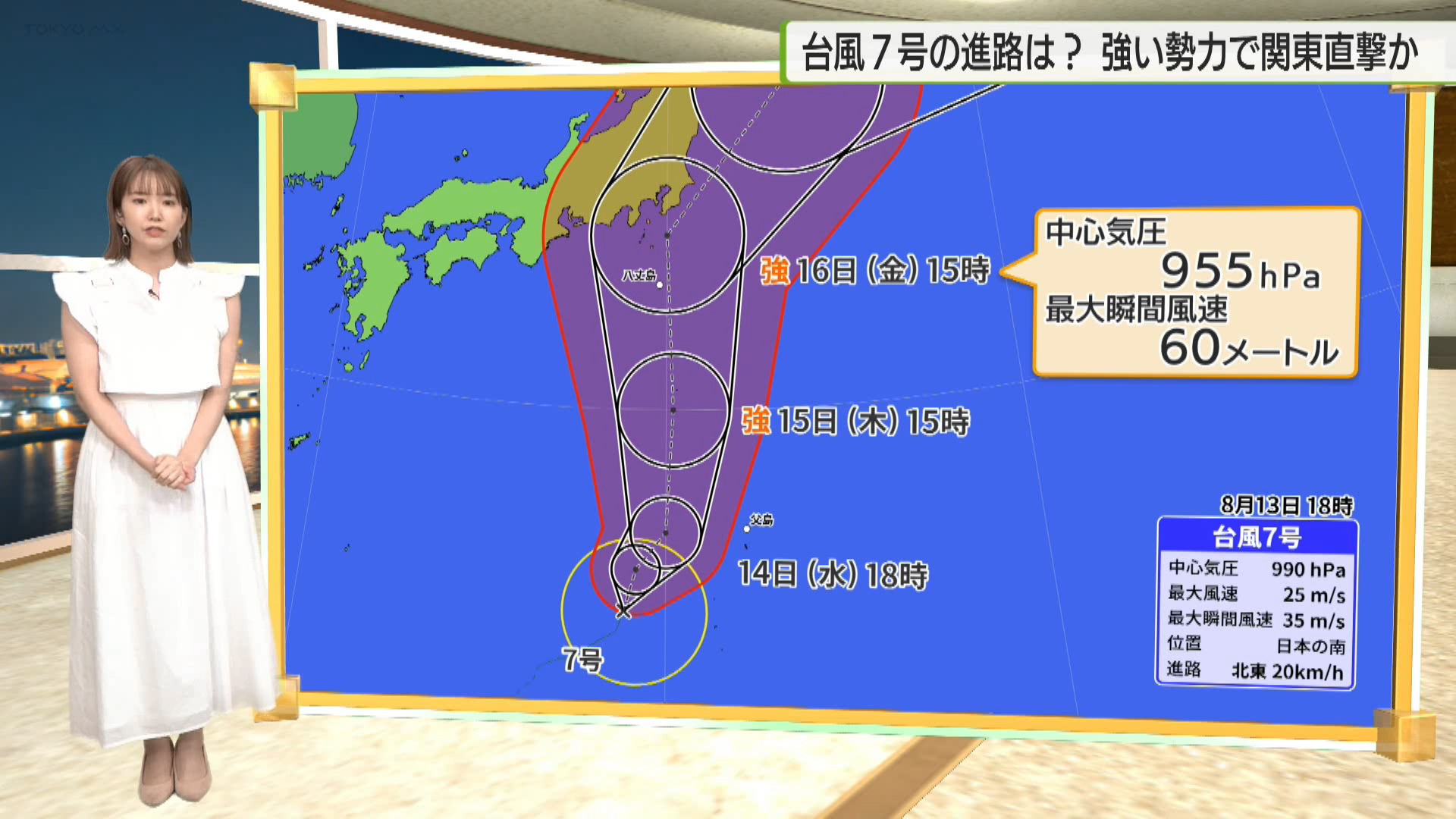 8月13日に発生した台風7号は、強い勢力で今週末にも関東に接近する見通しです。南海トラフ地震への警戒が続く、伊豆大島では、台風への対応にも追われています。